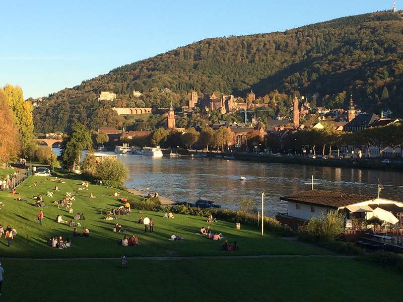 Neckarwiese mit Blick auf Altstadt und Schloss